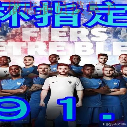 世界杯买球网站汇总合集：覆盖玩法指南与入口方式 - 世界杯官方信息